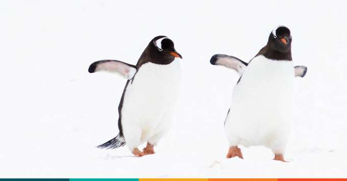 Linux Unplugged Podcast #409